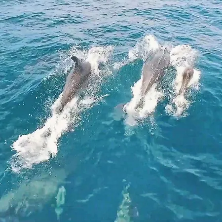 Villa Honolulu By Algarve Vacation Albufeira