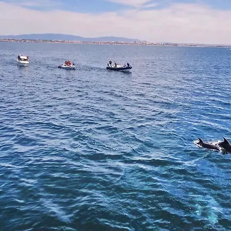 빌라 Honolulu By Algarve Vacation